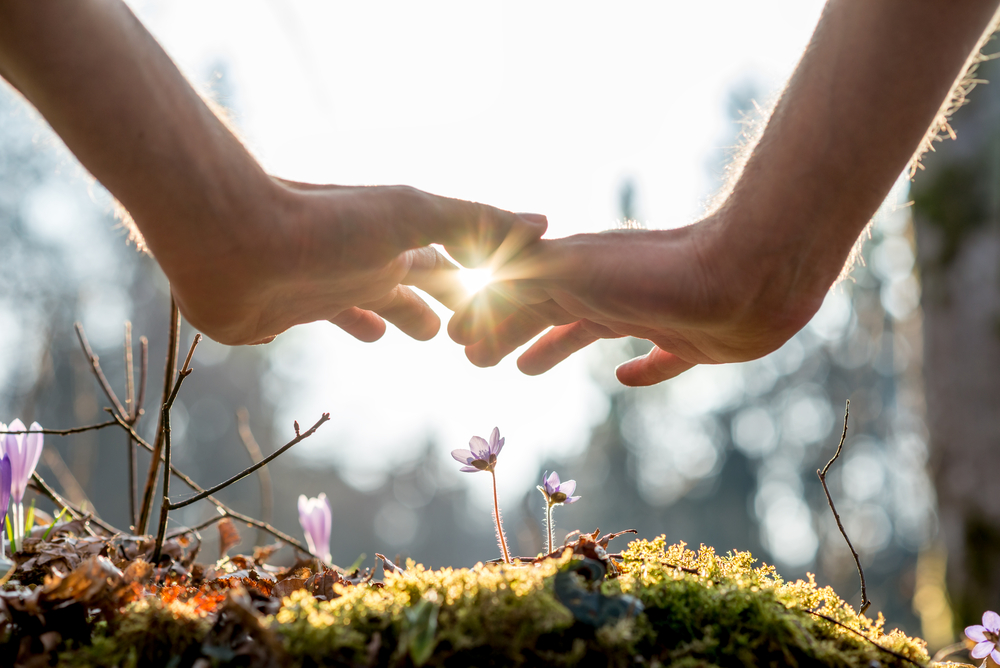 How Dr. Joseph Mercola Empowers Patients with Natural Healing